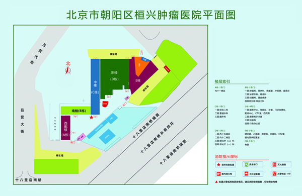 操逼视频影视北京市朝阳区桓兴肿瘤医院平面图